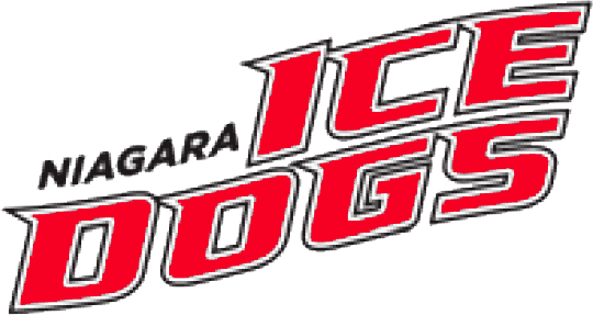 Niagara IceDogs 2007-pres wordmark logo iron on transfers for T-shirts